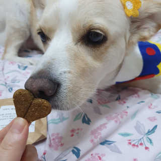 엘리님이 올린 리뷰 사진 3