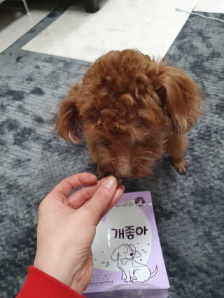 My Pet Care 천연단백질 치아건강에 개좋아 — 5점을 준 리뷰어가 2020년 11월 올린 사용 사진