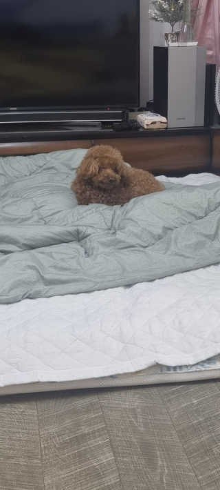 한원희님이 올린 리뷰 사진 1