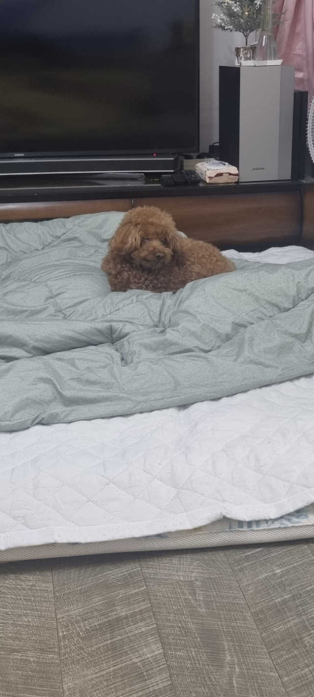 젠틀코드 올 데이 매너 스프레이 [젠틀맨] 리뷰 사진