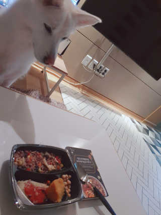 딸랑구둘🥰님이 올린 리뷰 사진 1