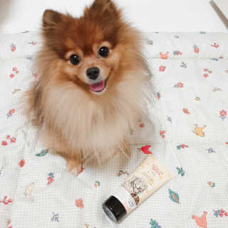 은선이짱님이 올린 리뷰 사진 3