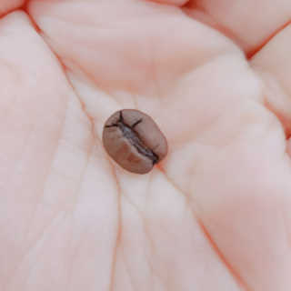 rina님이 올린 리뷰 사진 4