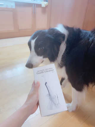 리디아은서님이 올린 리뷰 사진 1