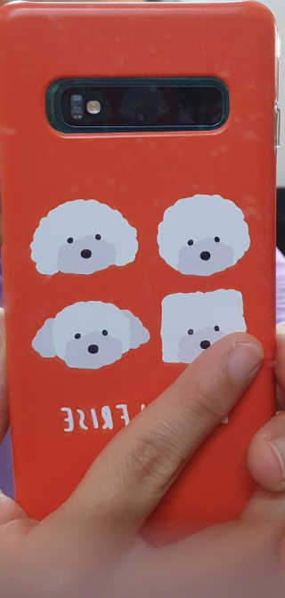 말랑이님이 올린 리뷰 사진 2