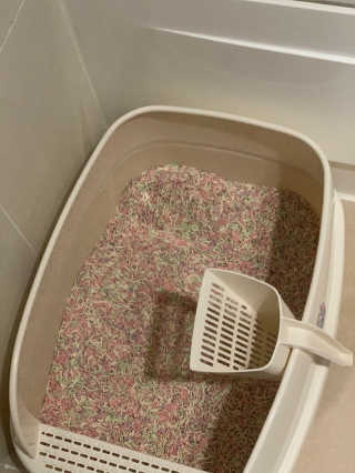 꼬말론맘님이 올린 리뷰 사진 3