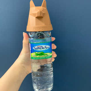 김남효님이 올린 리뷰 사진 1