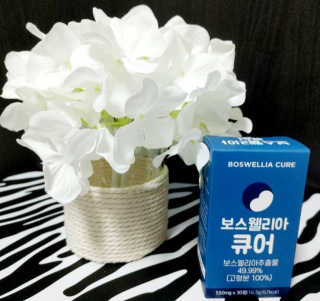 레옹맘님이 올린 리뷰 사진 1