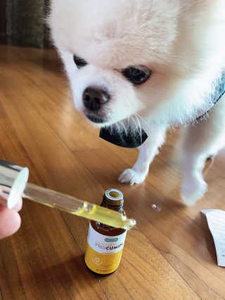 리디아은서님이 올린 리뷰 사진 3