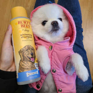 뽀용이님이 올린 리뷰 사진 1