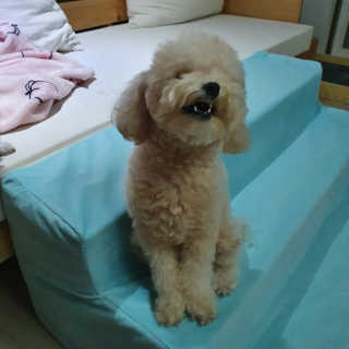 냥아치들님이 올린 리뷰 사진 4