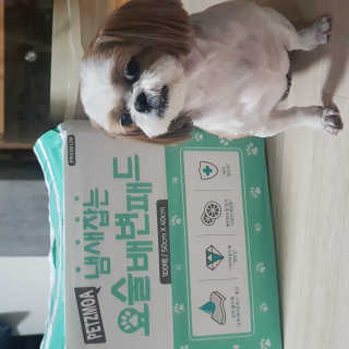 멍자언니님이 올린 리뷰 사진 2