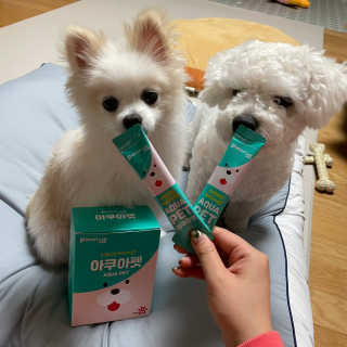 펫시랩 반려견용 액상 프리바이오틱스 아쿠아펫 — 5점을 준 리뷰어가 2020년 12월 올린 사용 사진