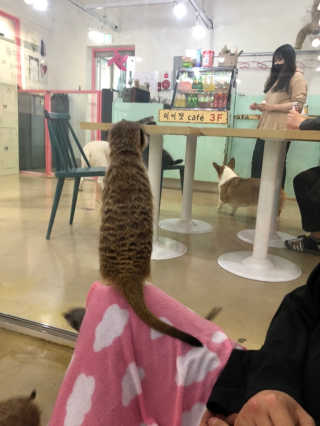 뿌미님이 올린 리뷰 사진 2