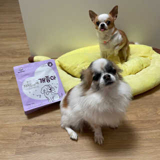 My Pet Care 천연단백질 치아건강에 개좋아 — 5점을 준 리뷰어가 2020년 12월 올린 사용 사진