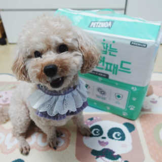 미니코코님이 올린 리뷰 사진 1