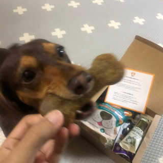 밍라맘님이 올린 리뷰 사진 2