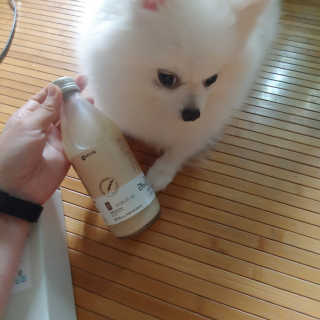 이누닷님이 올린 리뷰 사진 4