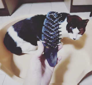 BabyG님이 올린 리뷰 사진 1