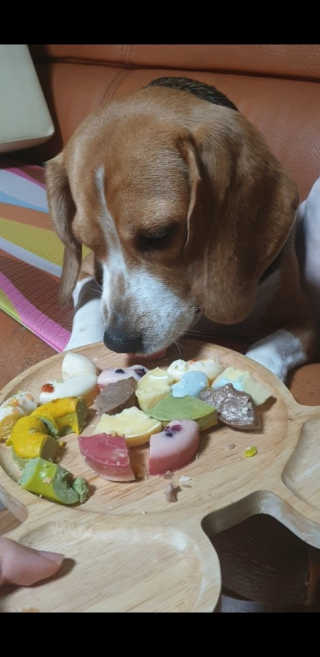 beaglelove님이 올린 리뷰 사진 3