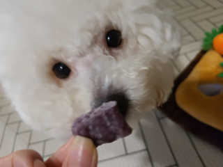 BADA님이 올린 리뷰 사진 1