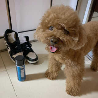 뚜루님이 올린 리뷰 사진 2
