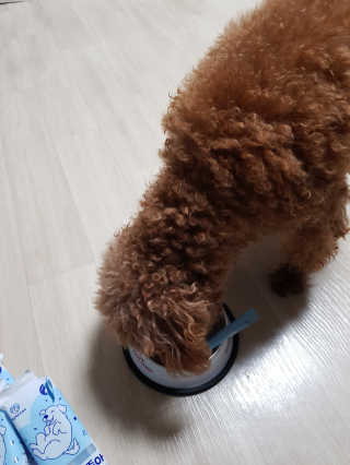 준맘님이 올린 리뷰 사진 2