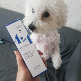 강아지스토리 포인원 모이스처 미스트 100ml — 5점을 준 리뷰어가 2020년 6월 올린 사용 사진