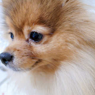 은선이짱님이 올린 리뷰 사진 4