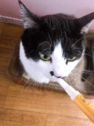 빈물딸기님이 올린 리뷰 사진 2