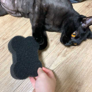 수린님이 올린 리뷰 사진 1