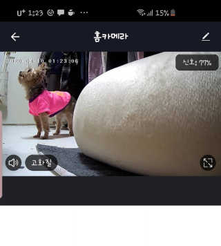 솜희님이 올린 리뷰 사진 1
