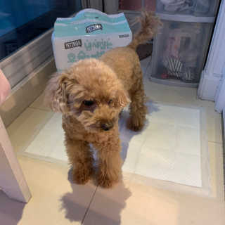 뚜루님이 올린 리뷰 사진 3