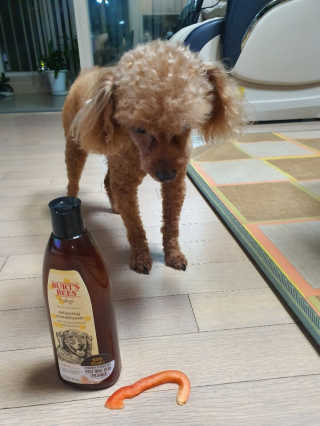 루시님이 올린 리뷰 사진 2