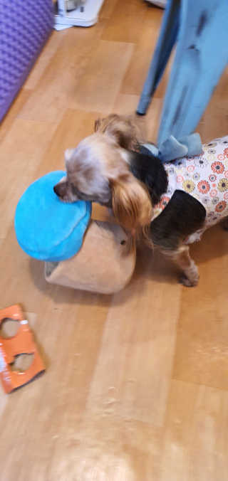 포포맘님이 올린 리뷰 사진 2