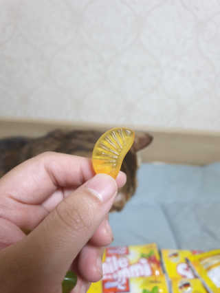위드님이 올린 리뷰 사진 4