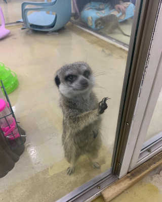 오아희님이 올린 리뷰 사진 2
