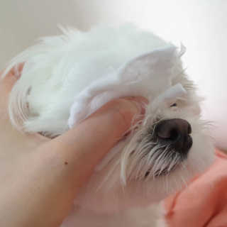 lala님이 올린 리뷰 사진 3