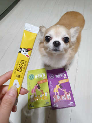 항이님이 올린 리뷰 사진 2