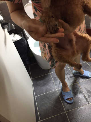 kimgaga2님이 올린 리뷰 사진 3
