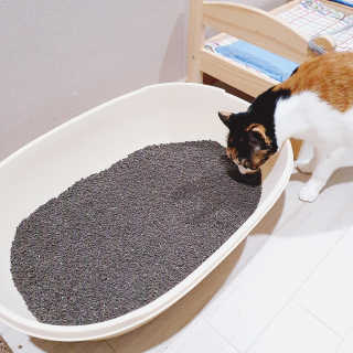 JENNY님이 올린 리뷰 사진 3