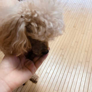 마리언니님이 올린 리뷰 사진 4