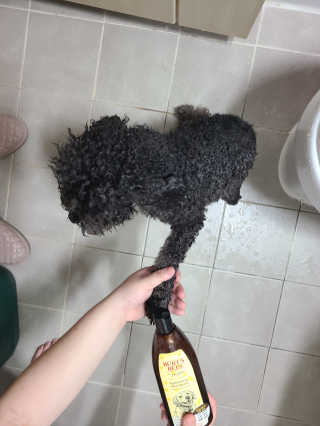 잠주부옥님이 올린 리뷰 사진 2