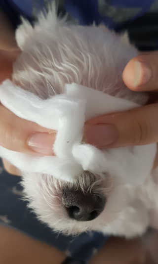 푸카카님이 올린 리뷰 사진 4