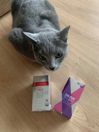 롬님이 올린 리뷰 사진 2