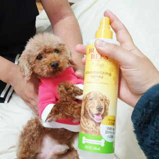 랭쑤님이 올린 리뷰 사진 3