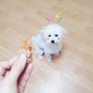해피팡팡 고구마닭말이+고구마오리말이 [고구마간식2종] — 5점을 준 리뷰어가 2020년 4월 올린 사용 사진