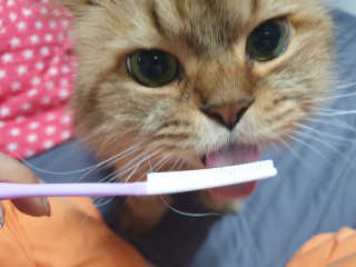 옹알이님이 올린 리뷰 사진 4