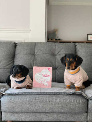 My Pet Care 천연단백질 관절건강에 개좋아 — 5점을 준 리뷰어가 2020년 11월 올린 사용 사진