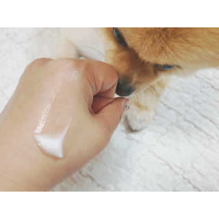 찹쌀이누나님이 올린 리뷰 사진 3